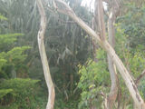 Picture relating to Maryvale - titled 'Maryvale'