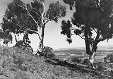 Picture relating to Reid - titled 'View from Mt Ainslie over Reid to St John Church and Old Parliament House'