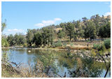 Picture relating to Uriarra Crossing - titled 'Uriarra Crossing - ACT'