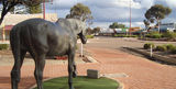 Picture relating to Norseman - titled 'Norseman'