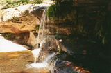 Picture of / about 'Warriewood' New South Wales - Warriewood