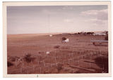 Toorak Sheep Field Research Station   March 1973