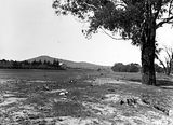 Picture relating to Canberra - titled 'View of Canberra Golf Links'