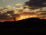 Picture relating to Newman - titled 'Newman ~ Sunset'