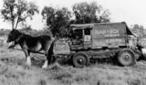 Picture relating to Windorah - titled 'Hawker's horsedrawn caravan in the Windorah district, ca. 1953'