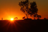 Picture relating to Corfield - titled 'Corfield'