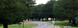 Picture relating to Hamilton Highway - titled 'Hamilton Highway at Hexham'