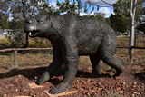 Picture relating to Eulo - titled 'Eulo - Diprotodo Optatum (Giant relative of Wombat and Koala)'
