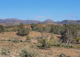 Picture relating to Mount Samuel Proper - titled 'Mount Samuel Proper'