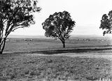 Picture relating to Kingston - titled 'View of Hotel Kurrajong, Kingston Power Station and Eastlake from Capital Hill.'
