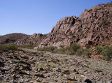 Umberatana