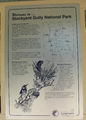 Picture relating to Stockyard Gully Tunnel - titled 'Stockyard Gully Tunnel'