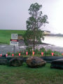 Picture relating to Lake Macdonald - titled 'Lake McDonald '