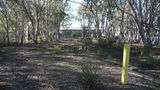 Picture relating to Gungahlin Hill - titled 'Gungahlin Hill'