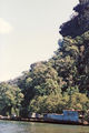 Picture relating to Hawkesbury River - titled 'Wreck of HMAS Parramatta, Hawkesbury River'