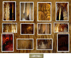 Picture relating to Princess Margaret Rose Caves - titled 'Princess Margaret Rose Caves'