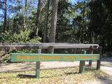 Picture relating to Buderim - titled 'Buderim'