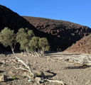 Picture relating to Red Gorge - titled 'Red Gorge'