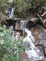 Picture relating to Olinda Creek - titled 'Olinda Falls'
