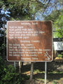 Picture relating to Nimbin - titled 'Nimbin'