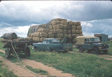 Picture relating to Perekerten - titled 'Perekerten Wool Stockpile'