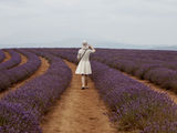 Picture relating to Nabowla - titled 'Nabowla - Bridstowe Lavender Farm'
