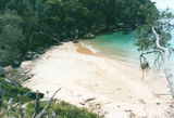 Picture relating to Ku-Ring-Gai Chase National Park - titled 'Ku-Ring-Gai Chase National Park'