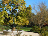 Picture relating to Castlemaine - titled 'Castlemaine'