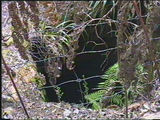 Picture relating to Cuprona Copper King Mine - titled 'Cuprona Copper King Mine'