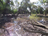 Picture relating to Narwarre - titled 'Narwarre'